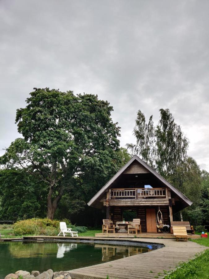 Jaunzemji Villa Dzeņi Buitenkant foto