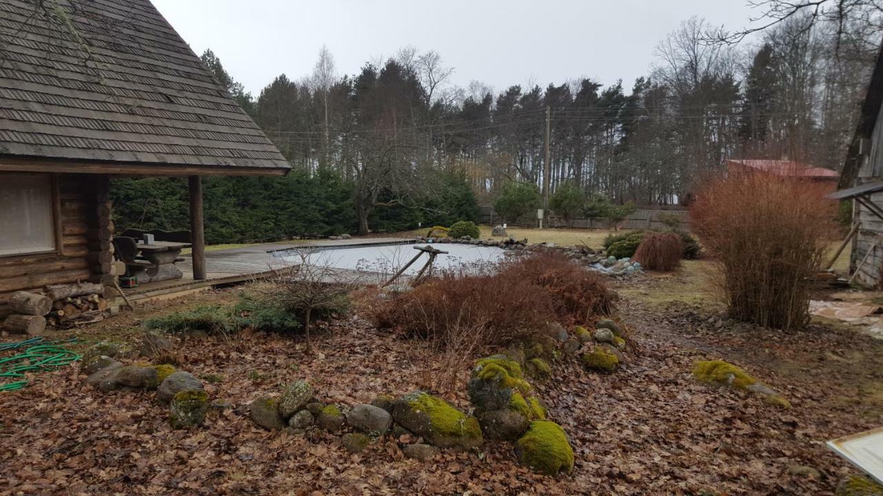 Jaunzemji Villa Dzeņi Buitenkant foto