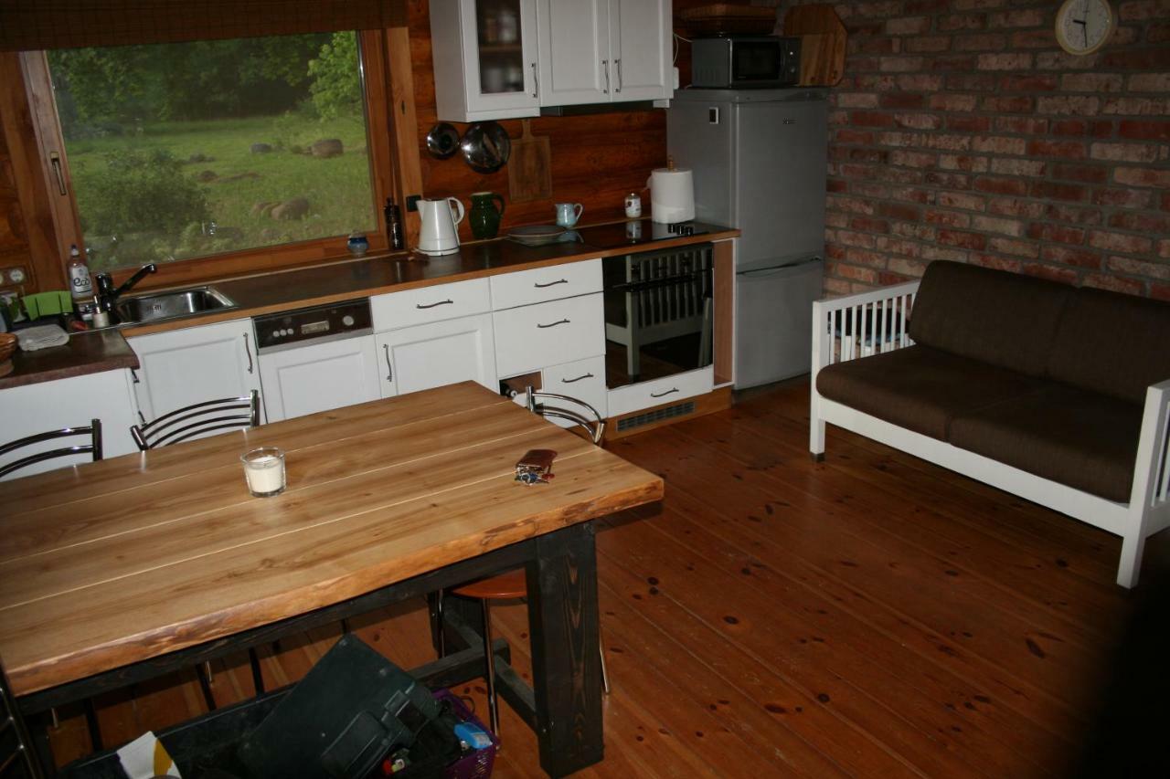 Jaunzemji Villa Dzeņi Buitenkant foto