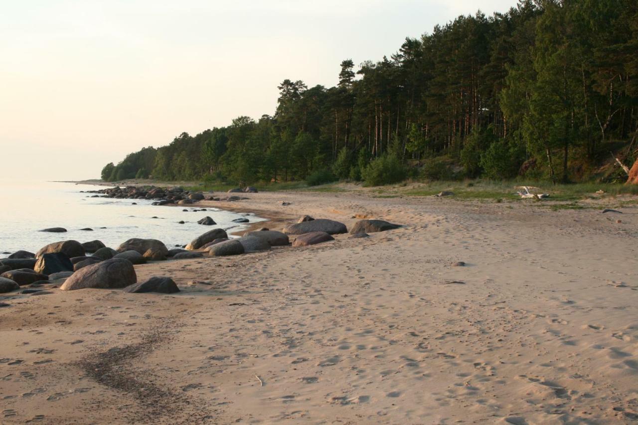 Jaunzemji Villa Dzeņi Buitenkant foto